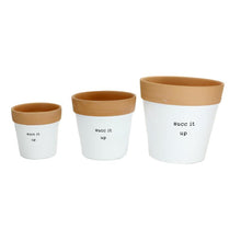 Load image into Gallery viewer, Succ it up Planters, Flower Pots, Funny Saying Flower Pot.
