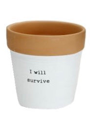 Small Size Terra Cotta Flower Pot Painted White with Saying “I Will Survive” printed on it.