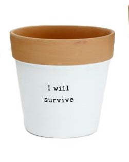Medium Size Terra Cotta Flower Pot Painted White with Saying “I Will Survive” printed on it.