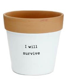 Terra Cotta Flower Pot.  Top rim is plane terra cotta the body of the planter is painted white with a saying “I Will Survive” printed in black lettering.  6556743860388